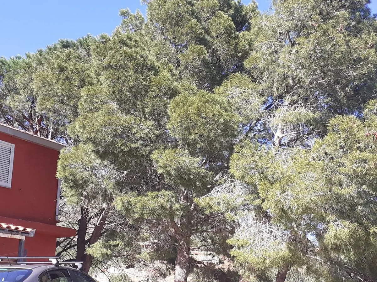 Casa Solanas N. 2 Βίλα 0*, Solanas (Cagliari)
